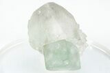 Green, Cubic Fluorite Crystal on Quartz - Inner Mongolia #216760-1
